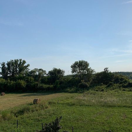 Feher Orchidea Apartman Egerszalók Extérieur photo